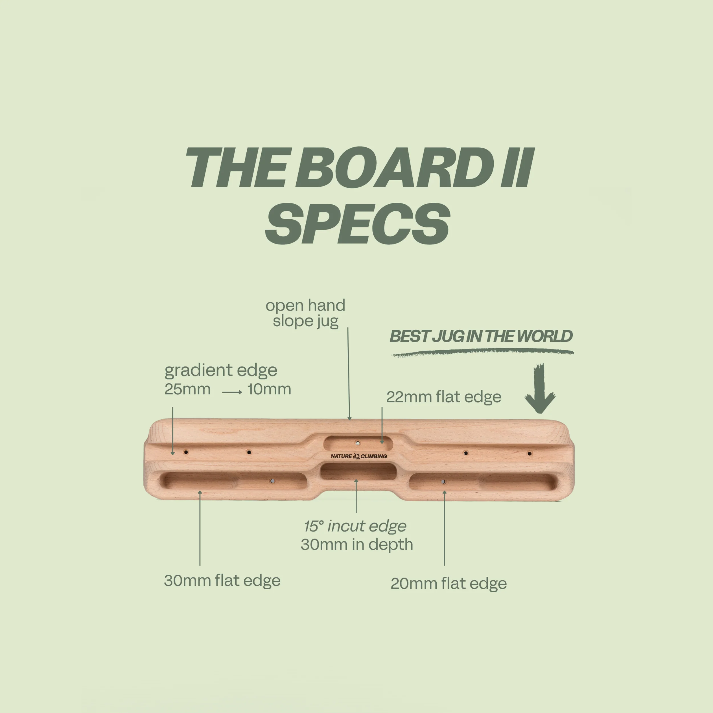 Board II - Beech - Image 5
